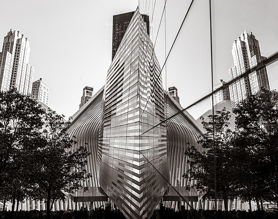 Oculus Reflection - Lesley Ackman