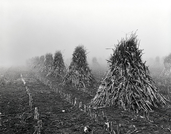 Amish Harvest - Alan McConnell